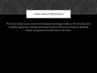 Protozoa hidup secara heterotrof dengan memangsa bakteri, Protista lain dan
sampah organisme. Sebagai pemangsa bakteri, Protozoa berperan penting
dalam mengontrol jumlah bakteri di alam.
CARA HIDUP PROTOZOA
 