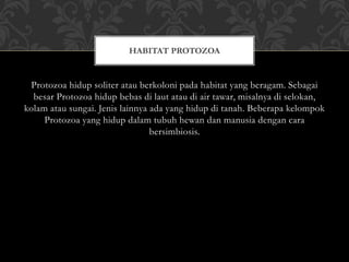 Protozoa hidup soliter atau berkoloni pada habitat yang beragam. Sebagai
besar Protozoa hidup bebas di laut atau di air tawar, misalnya di selokan,
kolam atau sungai. Jenis lainnya ada yang hidup di tanah. Beberapa kelompok
Protozoa yang hidup dalam tubuh hewan dan manusia dengan cara
bersimbiosis.
HABITAT PROTOZOA
 