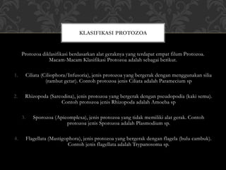 Protozoa diklasifikasi berdasarkan alat geraknya yang terdapat empat filum Protozoa.
Macam-Macam Klasifikasi Protozoa adalah sebagai berikut.
1. Ciliata (Ciliophora/Infusoria), jenis protozoa yang bergerak dengan menggunakan silia
(rambut getar). Contoh protozoa jenis Ciliata adalah Paramecium sp
2. Rhizopoda (Sarcodina), jenis protozoa yang bergerak dengan pseudopodia (kaki semu).
Contoh protozoa jenis Rhizopoda adalah Amoeba sp
3. Sporozoa (Apicomplexa), jenis protozoa yang tidak memiliki alat gerak. Contoh
protozoa jenis Sporozoa adalah Plasmodium sp.
4. Flagellata (Mastigophora), jenis protozoa yang bergerak dengan flagela (bulu cambuk).
Contoh jenis flagellata adalah Trypanosoma sp.
KLASIFIKASI PROTOZOA
 