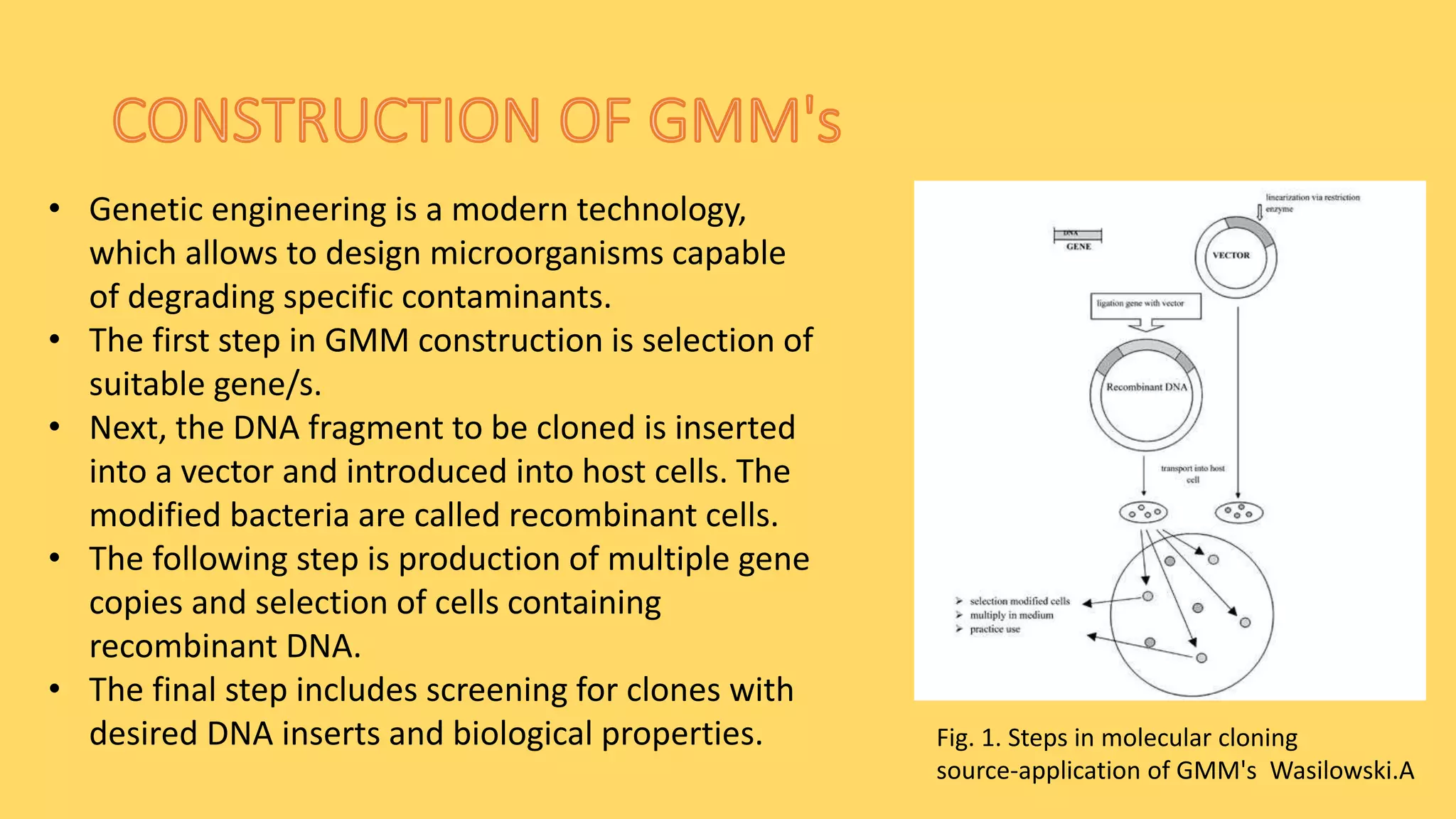 Fig. 1. Steps in molecular cloning
source-application of GMM's Wasilowski.A
• Genetic engineering is a modern technology,
which allows to design microorganisms capable
of degrading specific contaminants.
• The first step in GMM construction is selection of
suitable gene/s.
• Next, the DNA fragment to be cloned is inserted
into a vector and introduced into host cells. The
modified bacteria are called recombinant cells.
• The following step is production of multiple gene
copies and selection of cells containing
recombinant DNA.
• The final step includes screening for clones with
desired DNA inserts and biological properties.
 