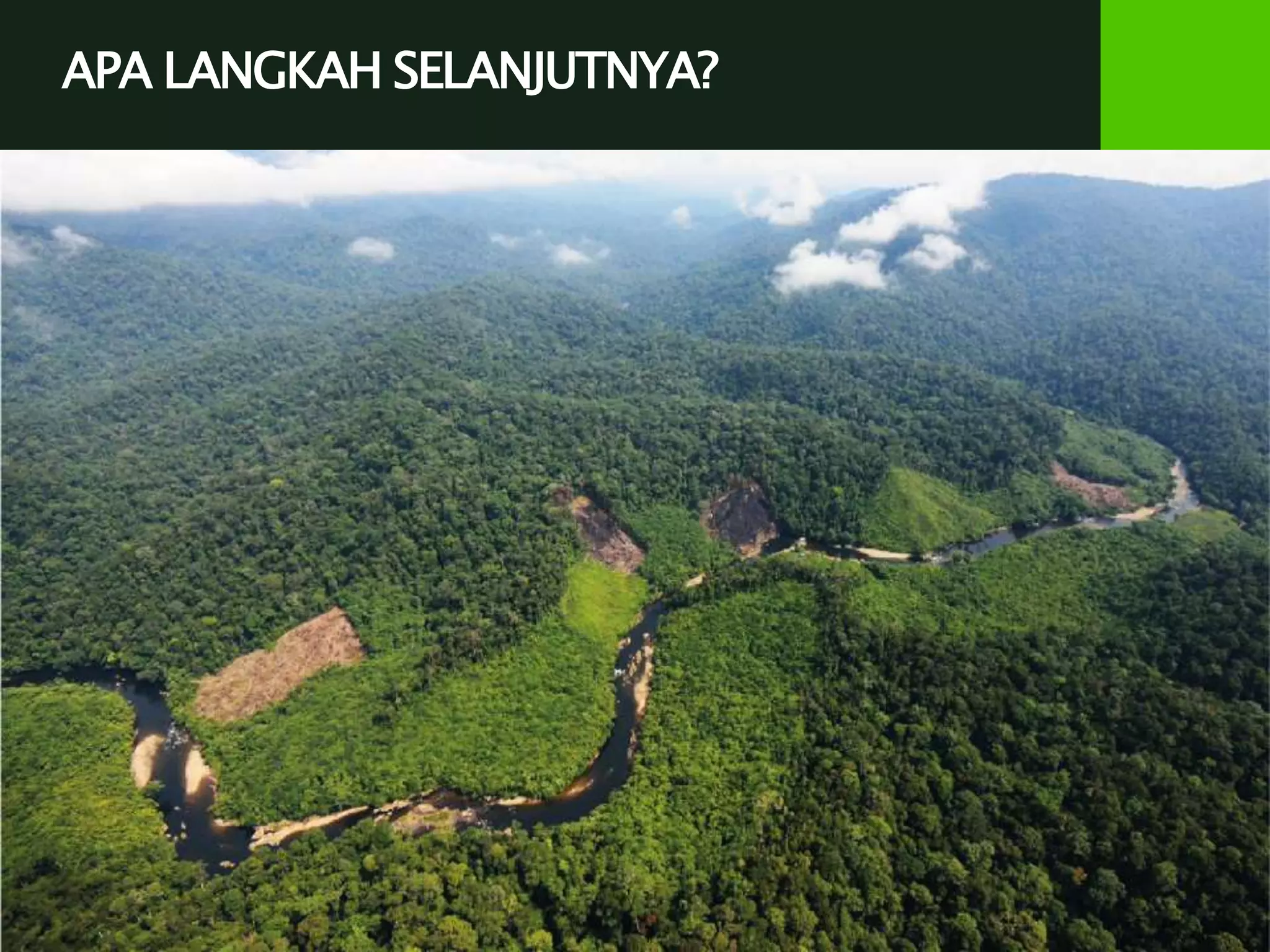 APA LANGKAH SELANJUTNYA?
 