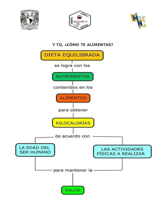 Y TÚ, ¿CÓMO TE ALIMENTAS?
 