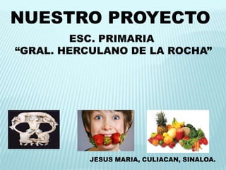 NUESTRO PROYECTO
        ESC. PRIMARIA
“GRAL. HERCULANO DE LA ROCHA”




           JESUS MARIA, CULIACAN, SINALOA.
 