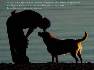 Yo tuve que aceptar que los animales que quiero, y los árboles que yo planté,
mis flores y mis aves, eran mortales. Ellos no me pertenecían.
Fue difícil, pero yo tuve que aceptar.

 