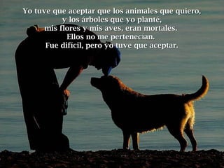 Yo tuve que aceptar que los animales que quiero,Yo tuve que aceptar que los animales que quiero,
y los árboles que yo planté,y los árboles que yo planté,
mis flores y mis aves, eran mortales.mis flores y mis aves, eran mortales.
Ellos no me pertenecían.Ellos no me pertenecían.
Fue difícil, pero yo tuve que aceptar.Fue difícil, pero yo tuve que aceptar.
 