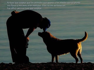 Yo tuve que aceptar que los animales que quiero, y los árboles que yo planté,Yo tuve que aceptar que los animales que quiero, y los árboles que yo planté,
mis flores y mis aves, eran mortales. Ellos no me pertenecían.mis flores y mis aves, eran mortales. Ellos no me pertenecían.
Fue difícil, pero yo tuve que aceptar.Fue difícil, pero yo tuve que aceptar.
 