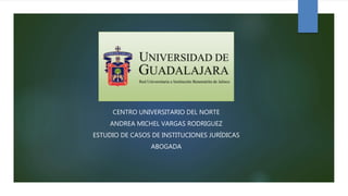 CENTRO UNIVERSITARIO DEL NORTE
ANDREA MICHEL VARGAS RODRIGUEZ
ESTUDIO DE CASOS DE INSTITUCIONES JURÍDICAS
ABOGADA
 