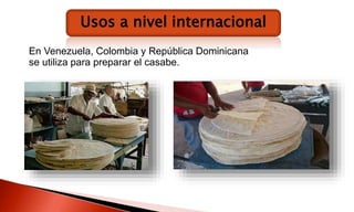 Usos a nivel internacional
En Venezuela, Colombia y República Dominicana
se utiliza para preparar el casabe.
 