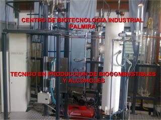 CENTRO DE BIOTECNOLOGIA INDUSTRIAL PALMIRA TECNICO EN PRODUCCION DE BIOCOMBUSTIBLES  Y ALCOHOLES 