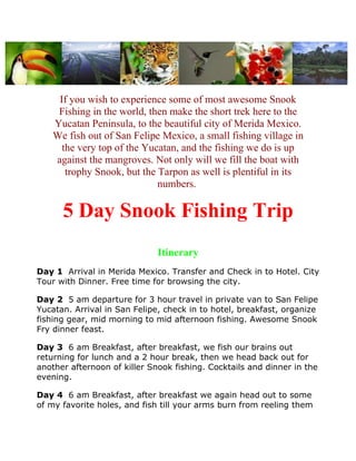 If you wish to experience some of most awesome Snook
    Fishing in the world, then make the short trek here to the
   Yucatan Peninsula, to the beautiful city of Merida Mexico.
   We fish out of San Felipe Mexico, a small fishing village in
     the very top of the Yucatan, and the fishing we do is up
   against the mangroves. Not only will we fill the boat with
      trophy Snook, but the Tarpon as well is plentiful in its
                            numbers.

      5 Day Snook Fishing Trip
                              Itinerary
Day 1 Arrival in Merida Mexico. Transfer and Check in to Hotel. City
Tour with Dinner. Free time for browsing the city.

Day 2 5 am departure for 3 hour travel in private van to San Felipe
Yucatan. Arrival in San Felipe, check in to hotel, breakfast, organize
fishing gear, mid morning to mid afternoon fishing. Awesome Snook
Fry dinner feast.

Day 3 6 am Breakfast, after breakfast, we fish our brains out
returning for lunch and a 2 hour break, then we head back out for
another afternoon of killer Snook fishing. Cocktails and dinner in the
evening.

Day 4 6 am Breakfast, after breakfast we again head out to some
of my favorite holes, and fish till your arms burn from reeling them
 