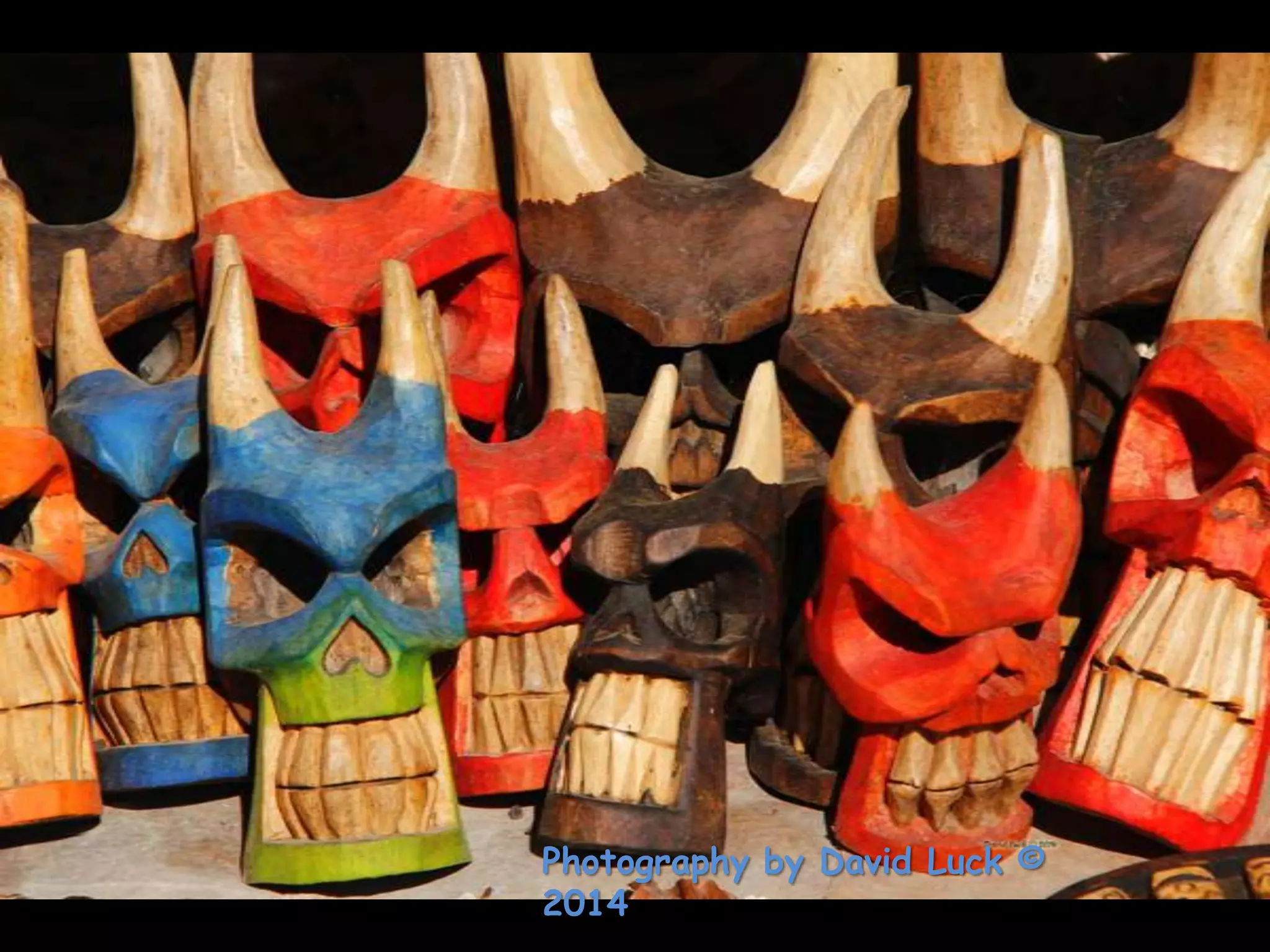 Photography by David Luck ©
2014