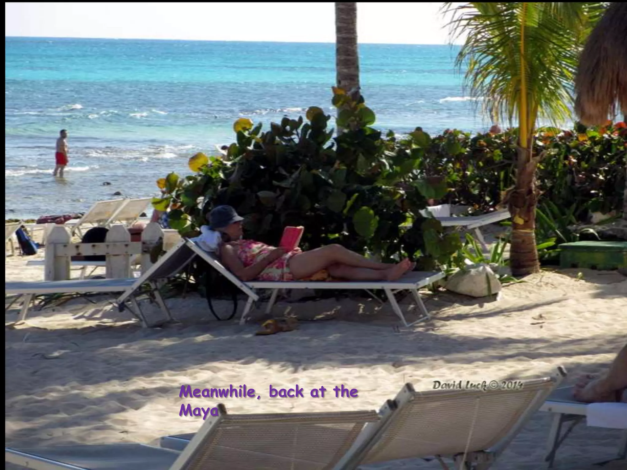 Meanwhile, back at the
Maya