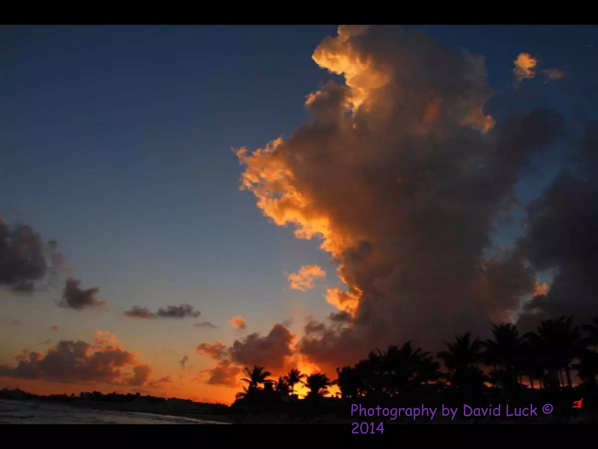 Photography by David Luck ©
2014