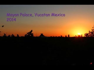 Mayan Palace, Yucatan Mexico
2014
 