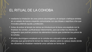 EL RITUAL DE LA COHOBA
• mediante la inhalación de unos polvos alucinógenos, el cacique o behique entraba
en un estado de trance creyendo comunicarse con sus dioses o espíritus a los que
invocaba pidiendo ayuda y protección.
• Antes de entrar al templo los taínos se introducía en la boca una espátula con la
finalidad de vomitar, purificándose interiormente, para así evitar los efectos de
indigestión que podrían producir los elementos tóxicos que contenían los polvos de
la cohoba.
• El polvo alucinógeno empleado en la cohoba era colocado sobre un plato de
ofrendas que generalmente tenían los ídolos tallados sobre la cabeza desde donde
los oficiantes lo inhalaban mediante unos cañutos en forma de Y.
 