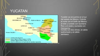 YUCATAN
http://.yucatan_etnias.com
Yucatán se encuentra en el sur
del estado de México. Colinda
al norte con el Golfo de México,
al este y sureste con Quintana
Roo y al oeste y suroeste con
Campeche.
Consta con dos climas, el cálido
subhúmedo y el cálido
semiseco
 