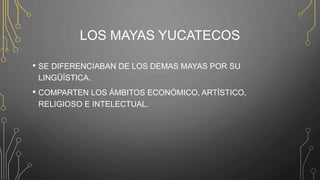 LOS MAYAS YUCATECOS
• SE DIFERENCIABAN DE LOS DEMAS MAYAS POR SU
LINGÜÍSTICA.
• COMPARTEN LOS ÁMBITOS ECONÓMICO, ARTÍSTICO,
RELIGIOSO E INTELECTUAL.
 