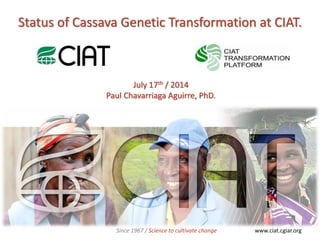 Status of Cassava Genetic Transformation at CIAT.
www.ciat.cgiar.orgSince 1967 / Science to cultivate change
July 17th / 2014
Paul Chavarriaga Aguirre, PhD.
 