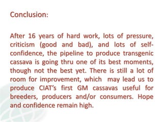Status of Cassava Genetic Transformation at CIAT. 