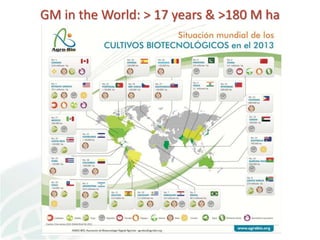 Status of Cassava Genetic Transformation at CIAT. 