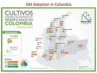 Status of Cassava Genetic Transformation at CIAT. 