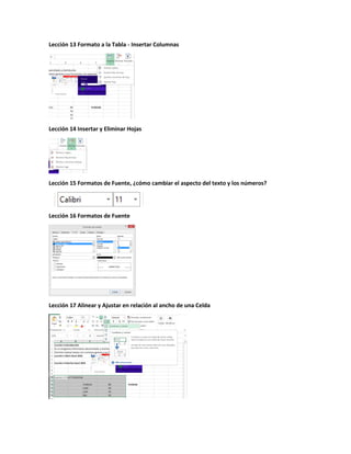 Lección 13 Formato a la Tabla - Insertar Columnas
Lección 14 Insertar y Eliminar Hojas
Lección 15 Formatos de Fuente, ¿cómo cambiar el aspecto del texto y los números?
Lección 16 Formatos de Fuente
Lección 17 Alinear y Ajustar en relación al ancho de una Celda
 