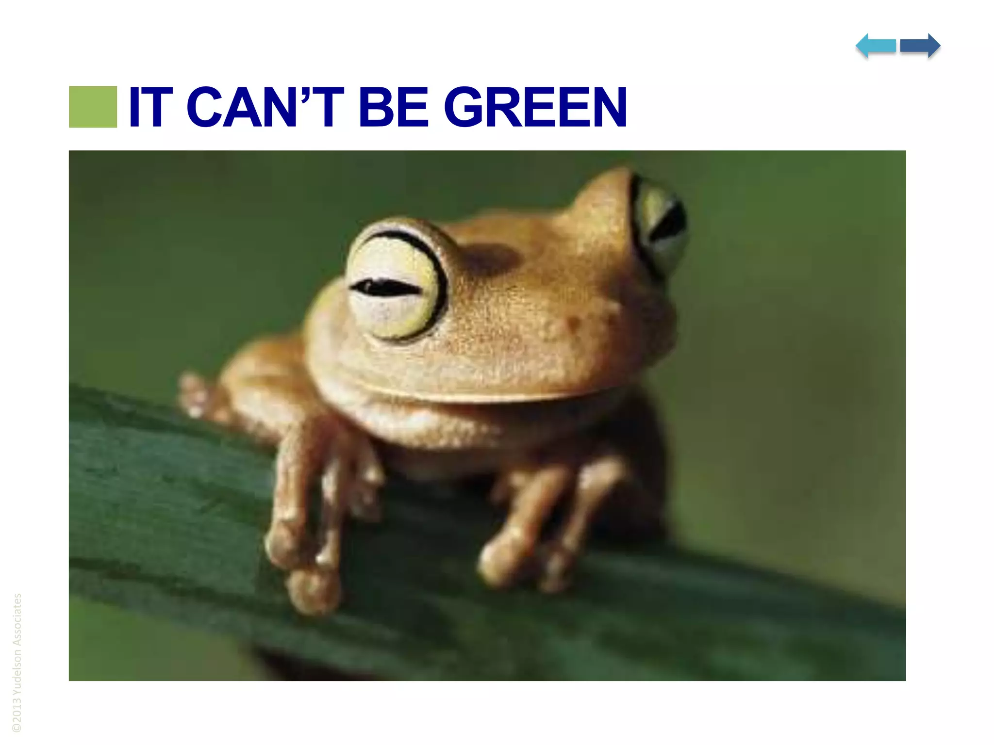 ©2013 Yudelson Associates

IT CAN’T BE GREEN

 