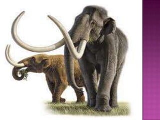 Animales de la prehistoria