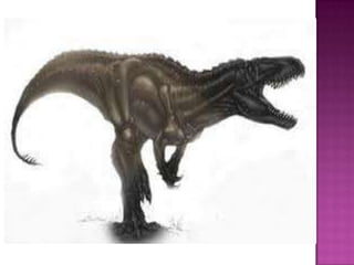 Animales de la prehistoria