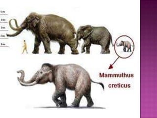 Animales de la prehistoria