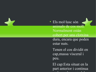 QUE SÓN ? Els mol·lusc són animals de cos moll. Normalment están cobert per una clotxina dura, encara que poden estar nuts. Tenen el cos dividit en cap,massa visceral i peu. El cap:Esta situat en la part anterior i continua amb un altra patr del cos , el peu.En ella es situen els organs : tentacles, amb misio olfactiva i tambe es situen els ulls, la boca i els organs del equlibri. El peu: es uan massa musculosa que serveix per a  la  locomociò del animal. Massa Visceral: estructura situada sobre el peu i en el interior te organs o vísceres  Es clasifíquen en : Gasterópodes Bivalves Cefalòpodes 