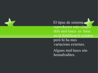 REPRODUCCIÓ El tipus de sistema reproductor més simple dels mol·luscs  es  basa en la fertilització externa però hi ha mes variacions externes. Alguns mol·luscs són hemafrodites.  