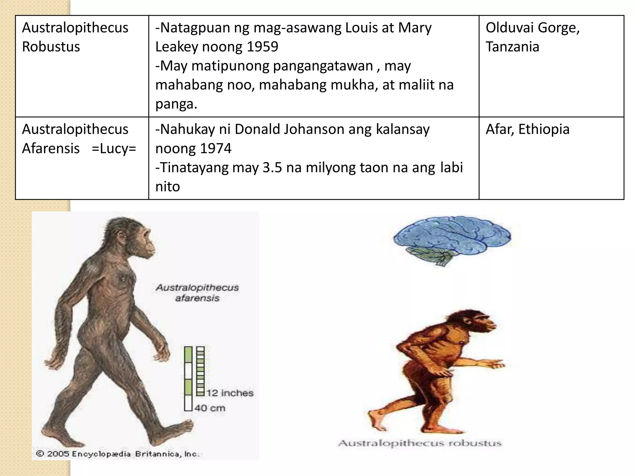 Yugto ng Kultura ng Sinaunang Tao (Week 4).pptx