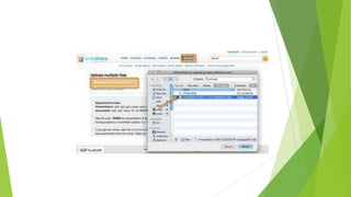 Yuleisis herrera ricardo