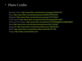 Photo Credits Numatic Henry  http://www.flickr.com/photos/nicohogg/516490143/ Docs  http://www.flickr.com/photos/davetron5000/276535342/ Elephant  http://www.flickr.com/photos/euromagic/318774561/ Vic20 Game  http://www.flickr.com/photos/lifeontheedge/84913291/   Chris and the babes:  http://www.flickr.com/photos/72169999@N00/348839862/   Nate  http://www.flickr.com/photos/freshelectrons/400135496/   Spaghetti  http://www.flickr.com/photos/hikikomori/155256307/ Kitten  http://www.flickr.com/photos/miller-lowe/346191736/ Puppy  http://www.cuteoverload.com   