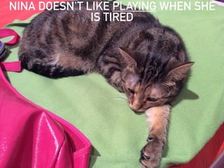 NINA DOESN'T LIKE PLAYING WHEN SHE
IS TIRED
 
