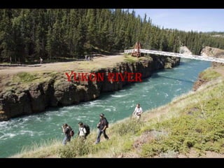 Yukon river
 