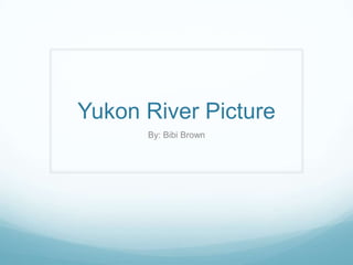 Yukon River Picture
By: Bibi Brown
 