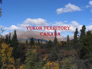 Yukon territory
    Canada
 