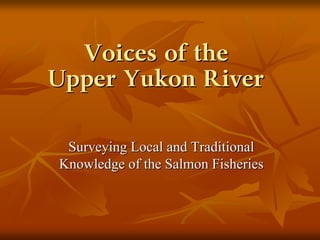Voices of the
Upper Yukon River


 Surveying Local and Traditional
Knowledge of the Salmon Fisheries
 