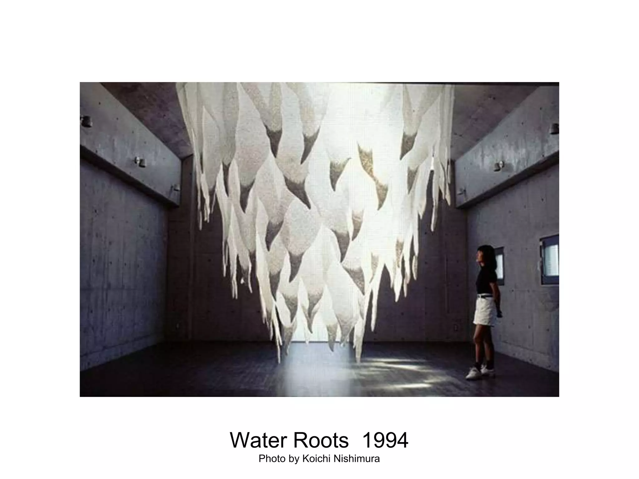 Water Roots  1994Photo by Koichi Nishimura