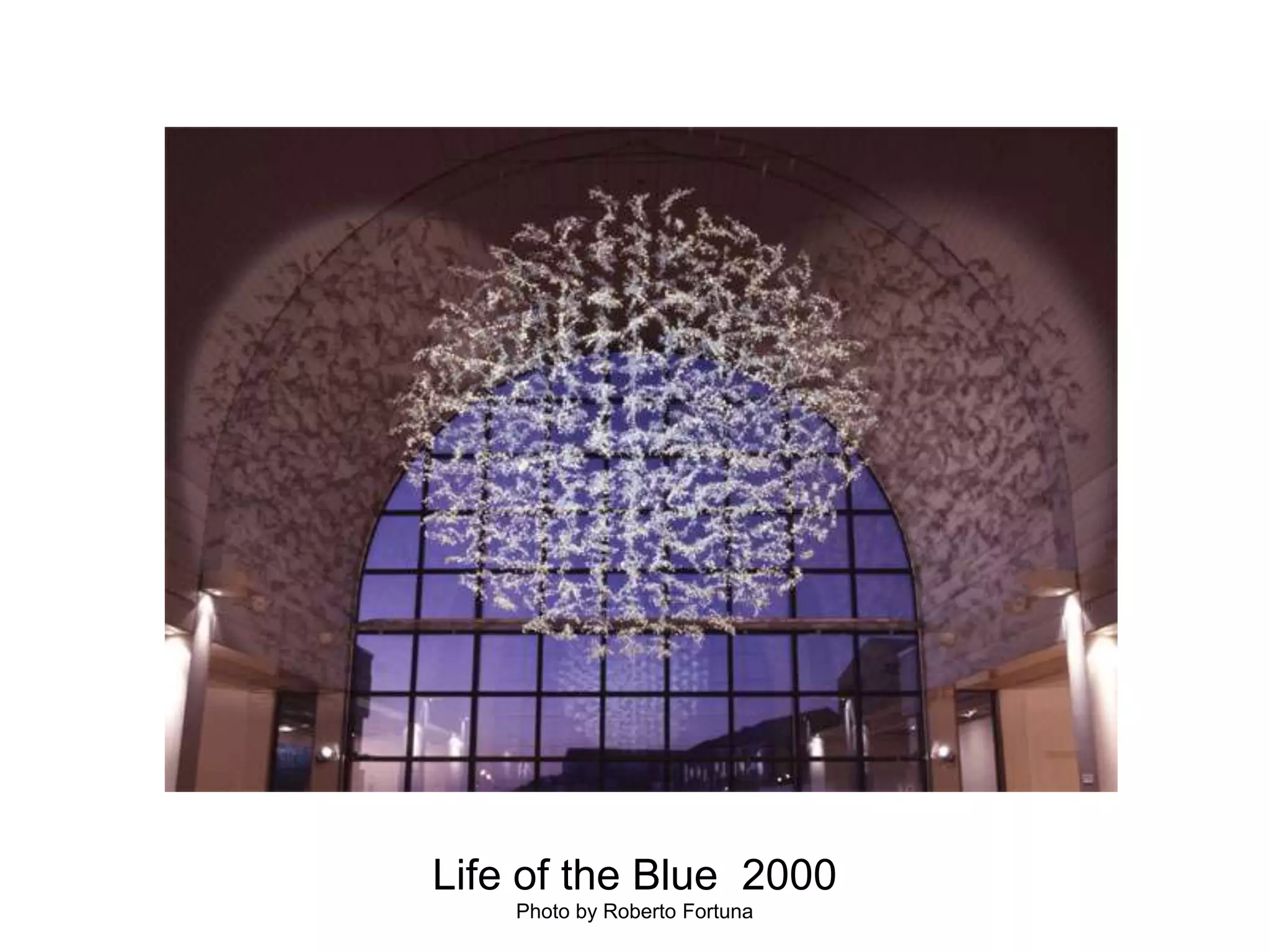 Life of the Blue  2000Photo by Roberto Fortuna