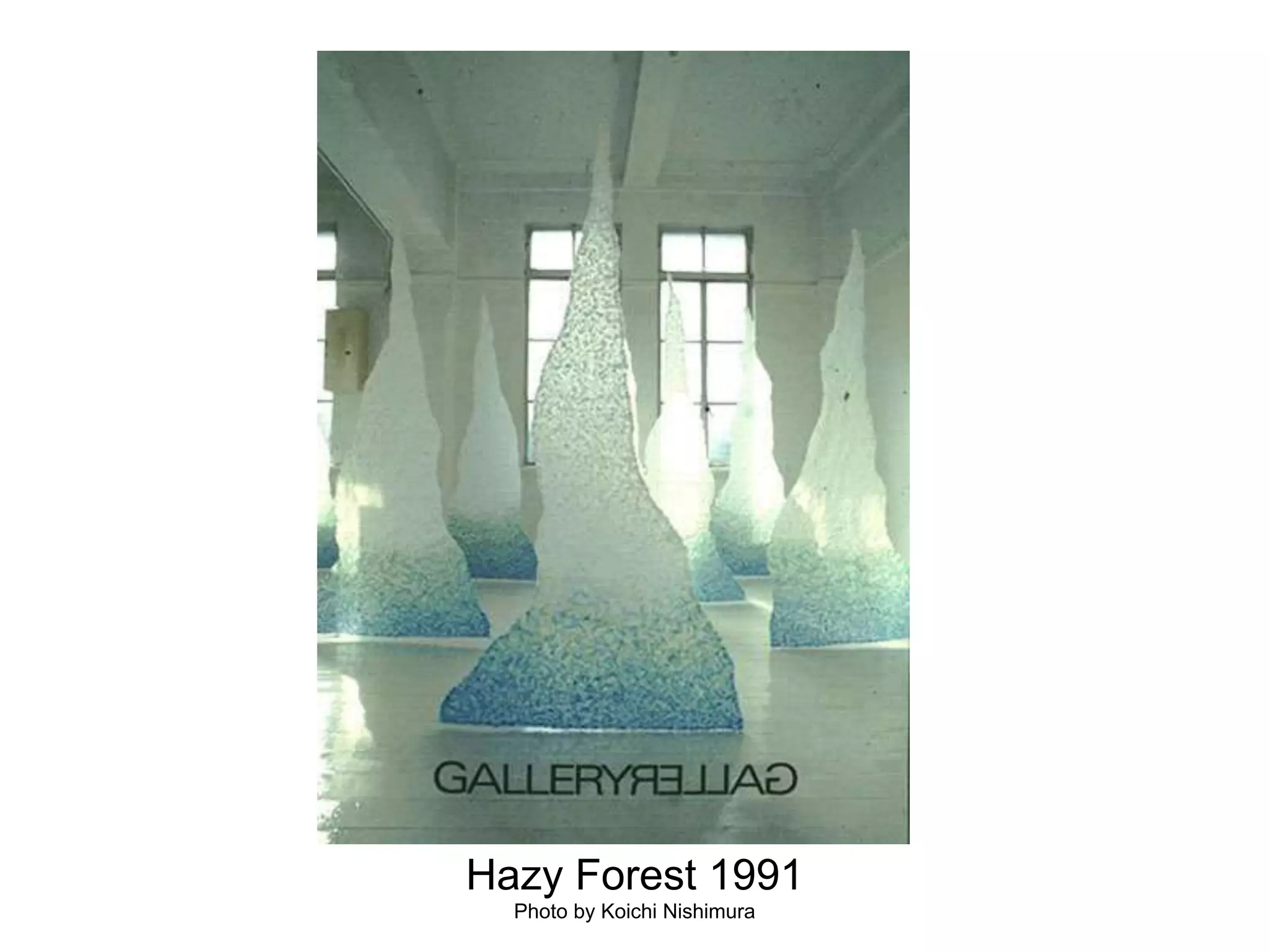 Hazy Forest 1991Photo by Koichi Nishimura