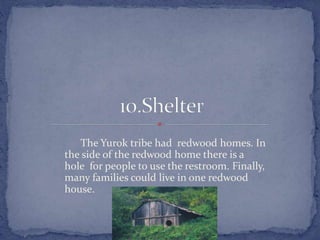 The Yurok tribe had redwood homes. In
the side of the redwood home there is a
hole for people to use the restroom. Finally,
many families could live in one redwood
house.
 