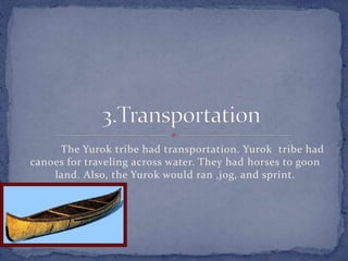 The Yurok tribe had transportation. Yurok tribe had
canoes for traveling across water. They had horses to goon
land. Also, the Yurok would ran ,jog, and sprint.
 