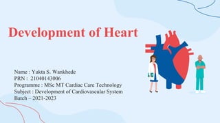 Development of Heart
Name : Yukta S. Wankhede
PRN : 21040143006
Programme : MSc MT Cardiac Care Technology
Subject : Development of Cardiovascular System
Batch – 2021-2023
 