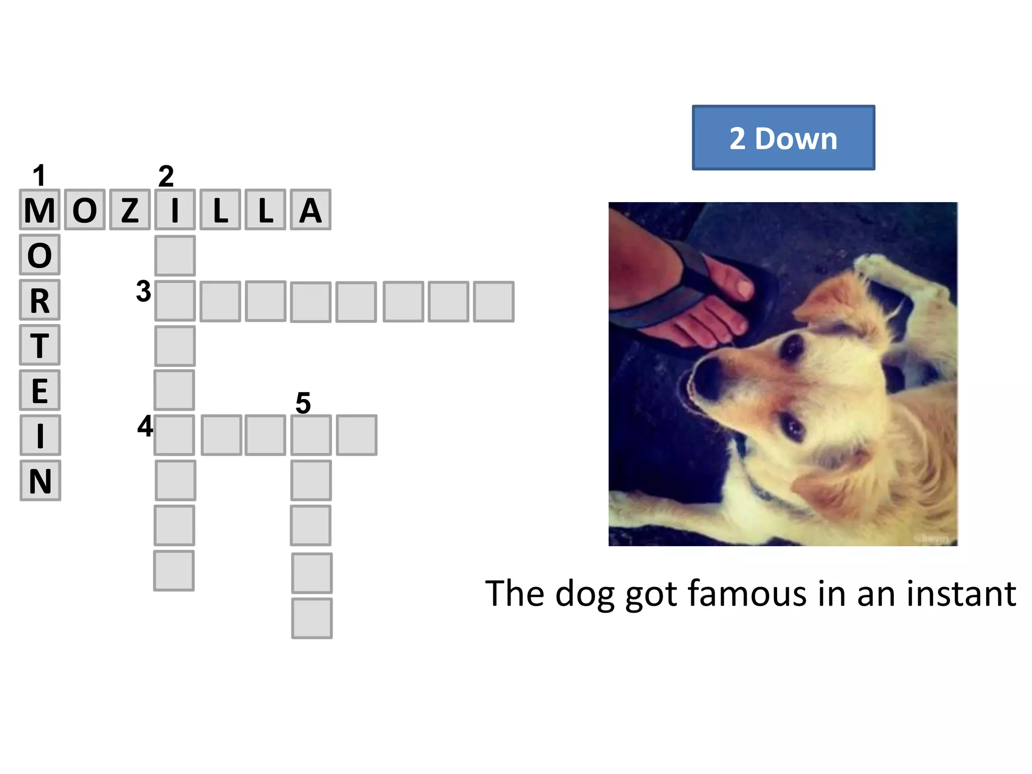 M O Z I L L
R
E
T
4
O
5
A
1 2
3
N
I
2 Down
The dog got famous in an instant
 