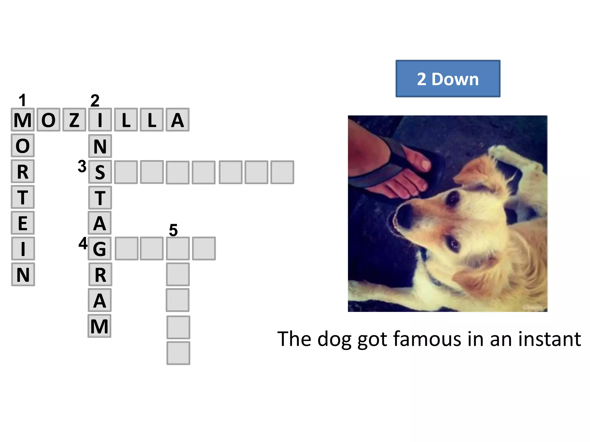 M O Z I L L
SR
E
T
4
N
T
O
5
A
1 2
G
A
R
A
3
N
I
M
2 Down
The dog got famous in an instant
 