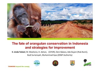 The fate of orangutan conservation in Indonesia
            and strategies for improvement
    E. Linda Yuliani, M. Moeliono, H. Adnan,   (CIFOR), Deni Bakara, Ade Bujani (Riak Bumi),
    E Linda Yuliani M Moeliono H Adnan (CIFOR) Deni Bakara Ade B jani (Riak B mi)
                       Budi Suriansyah, Muhammad Ilyas (DSNP Authority)




THINKING beyond the canopy
 
