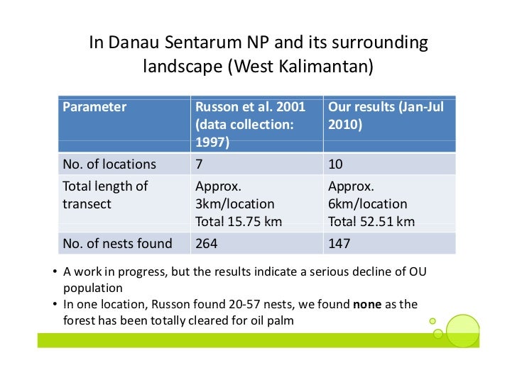 The Fate Of Orangutan Conservation In Indonesia And